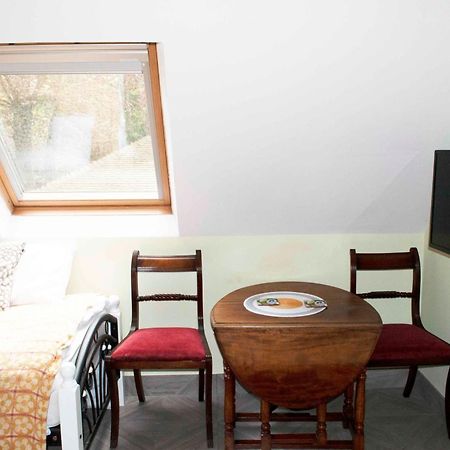 Forest Studio Apt Free Gated Parking On 2 Acres Garden ชิเซิลเฮิร์สท์ ภายนอก รูปภาพ